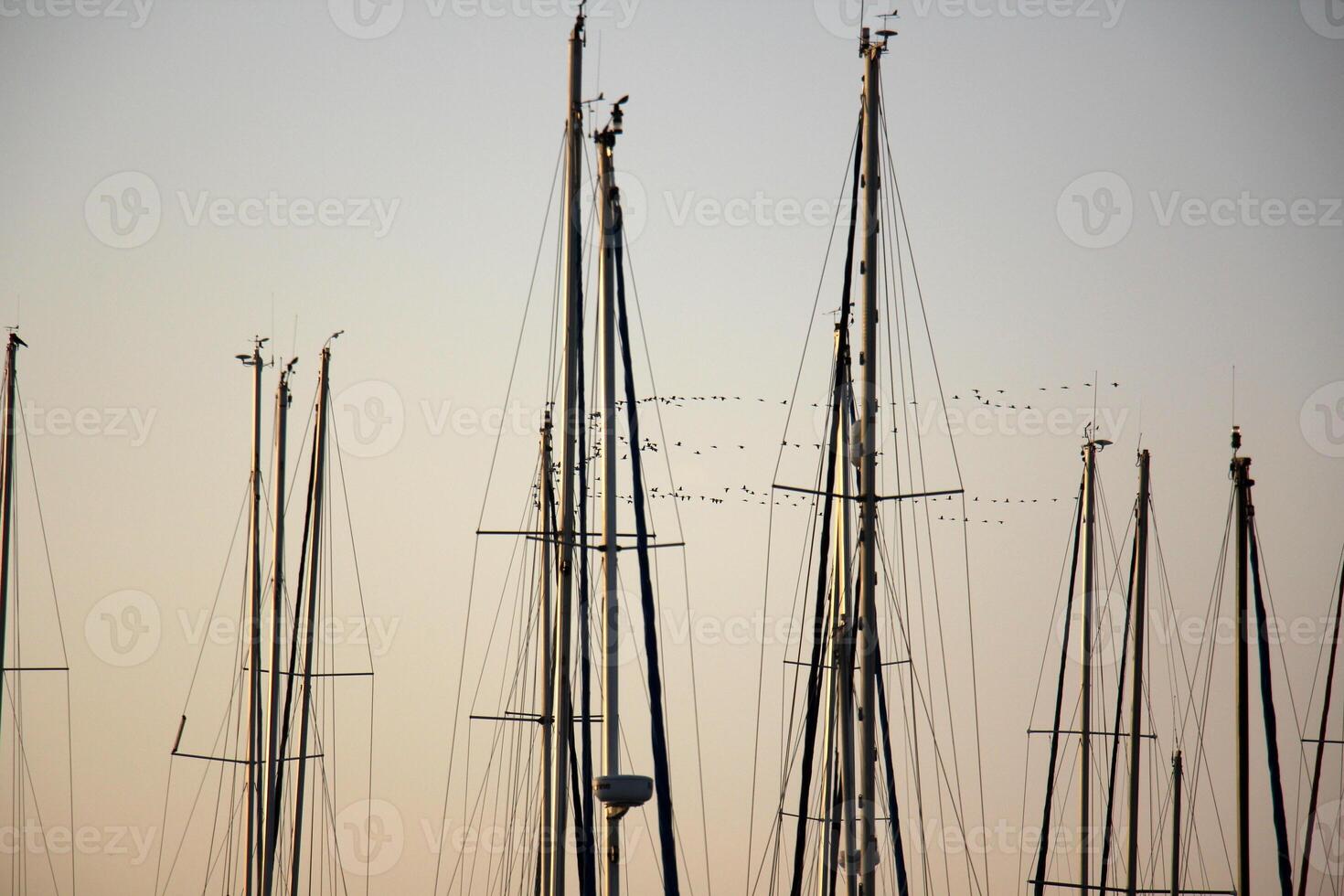 Masts in the port against the blue sky. photo