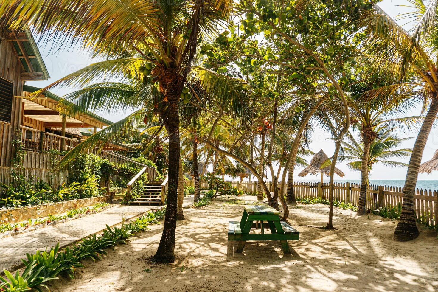 Guanaja Island, Honduras. Natura travel concept. photo