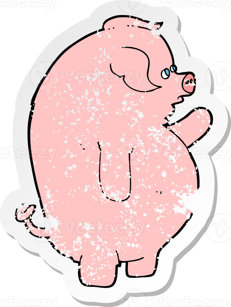 retro distressed sticker of a cartoon fat pig png