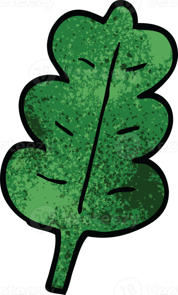 cartoon doodle oak leaf png