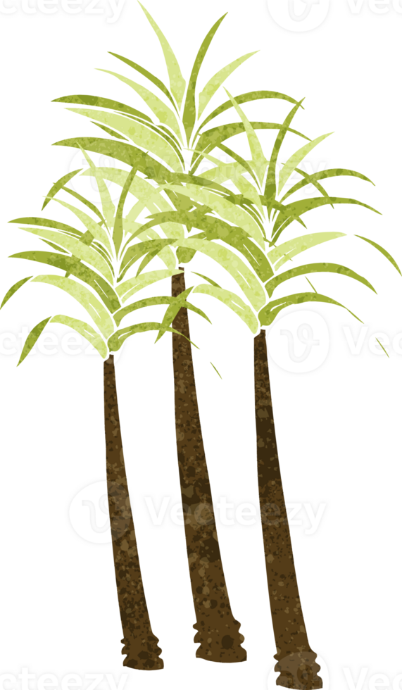 cartoon palm tree png