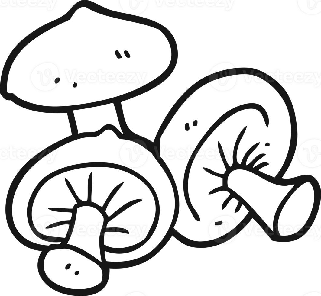hand drawn black and white cartoon mushrooms png