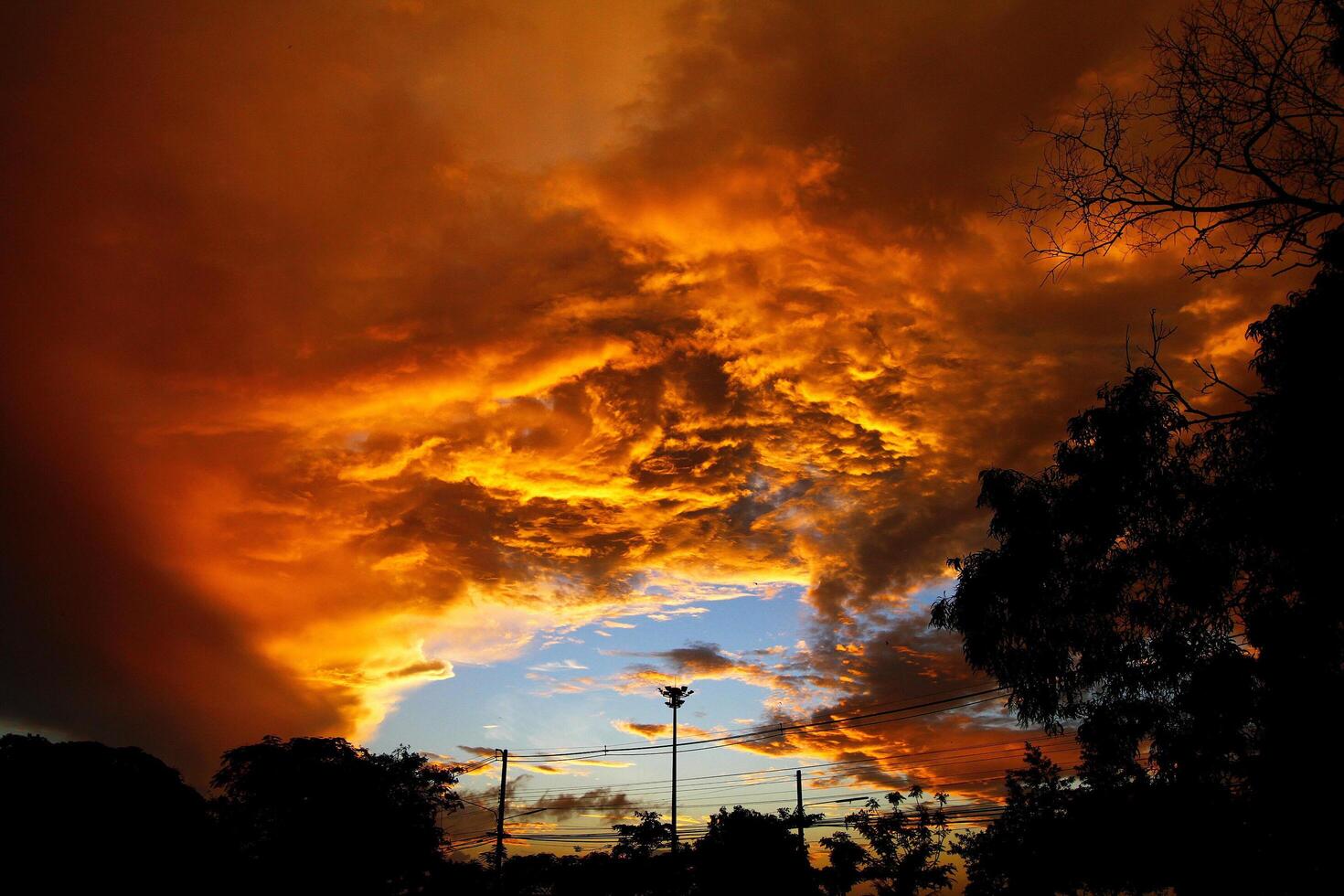 Orange or Yellow sky and clouds on new dawn day in early morning with silhouette of tree and electricity post for background. Beauty of Nature and Art wallpaper concept photo