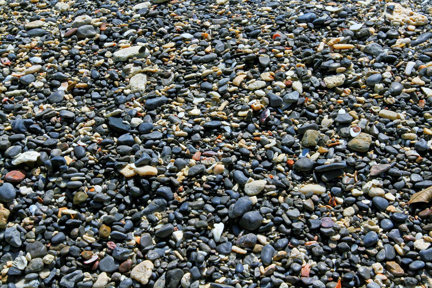 Many pattern and textured of small black gravel and white pebble on the tropical beach. photo