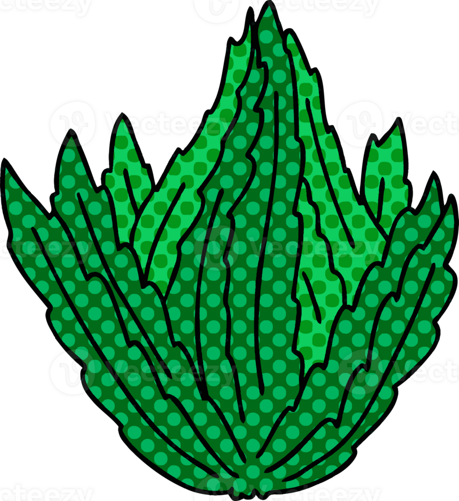 comic book style quirky cartoon lettuce png