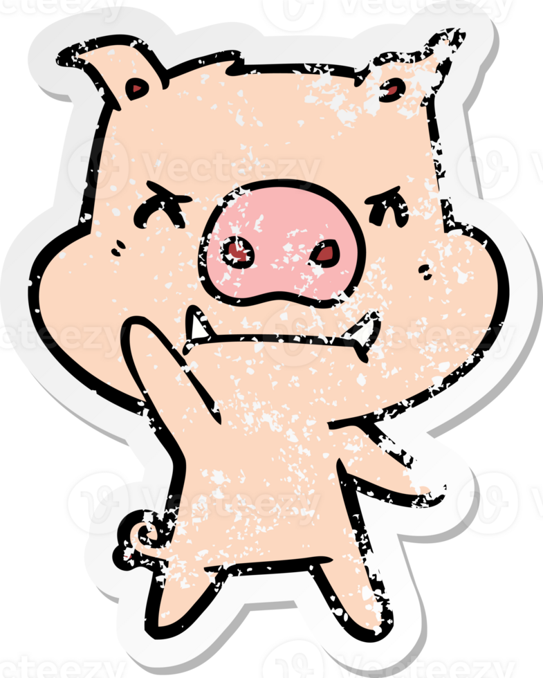 distressed sticker of a angry cartoon pig png