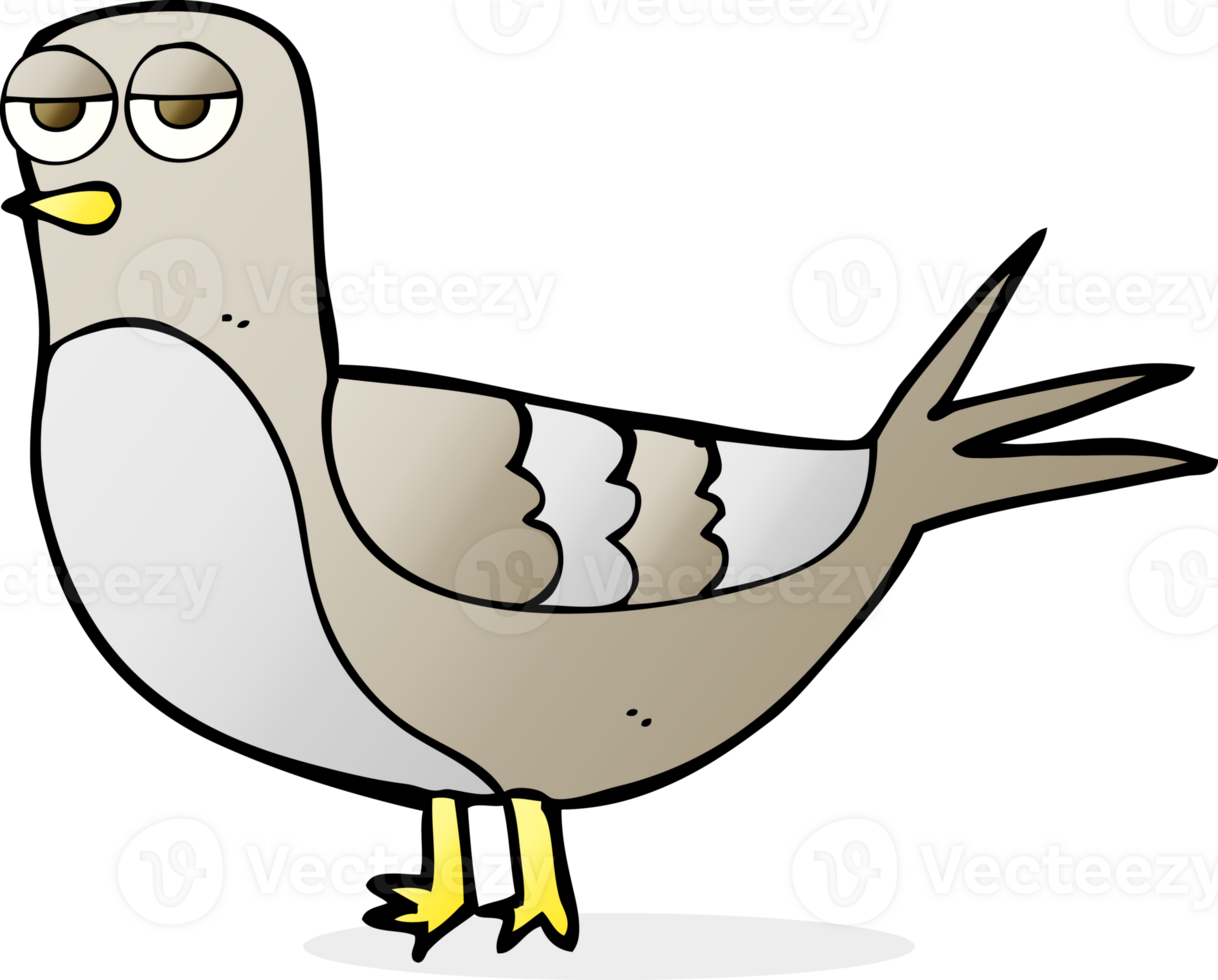 drawn cartoon pigeon png