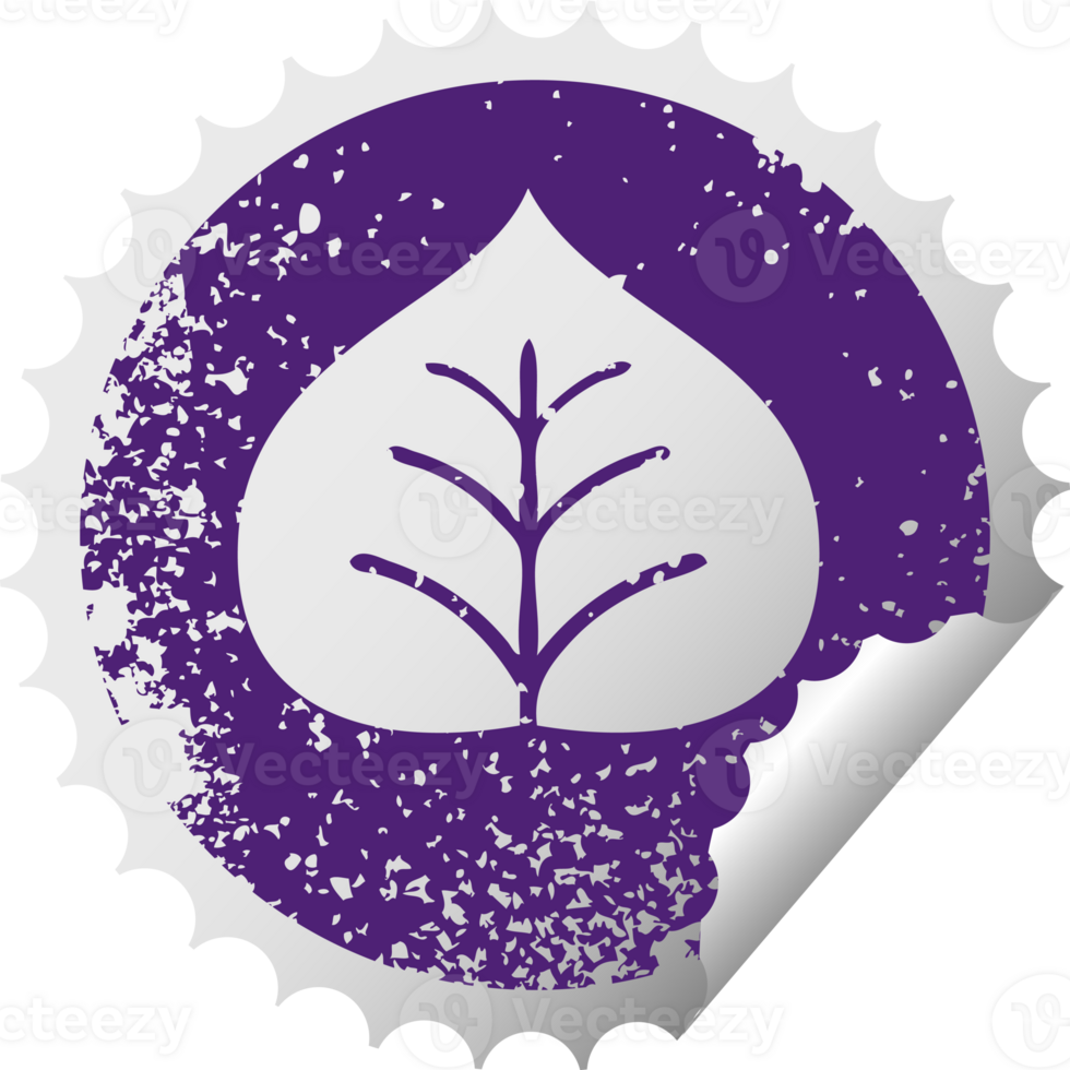 distressed circular peeling sticker symbol of a autumn leaf png