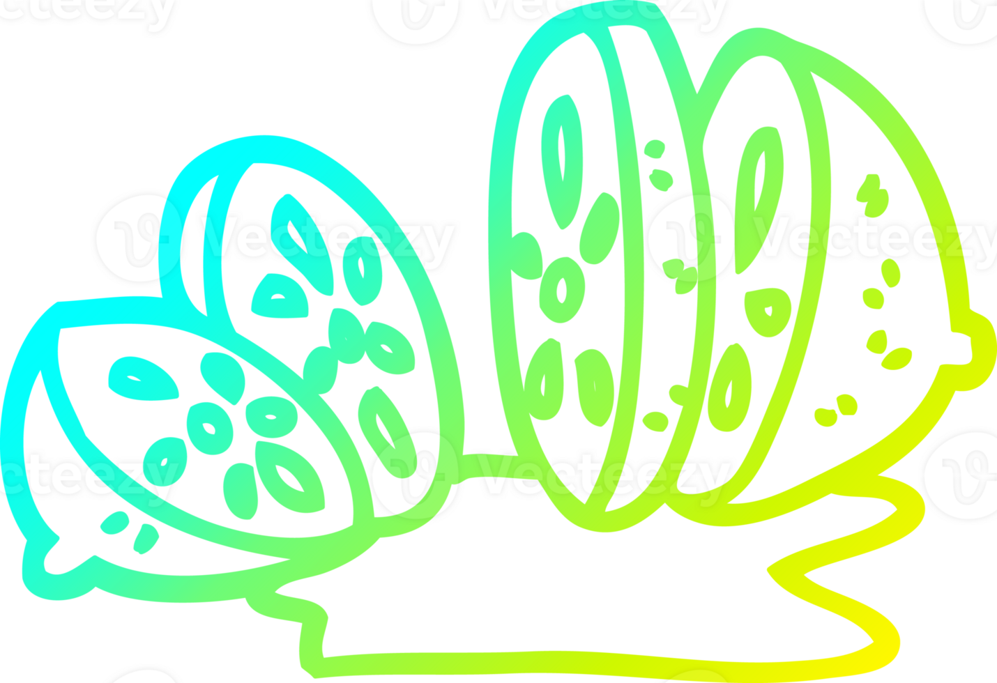 cold gradient line drawing of a cartoon citrus fruit png