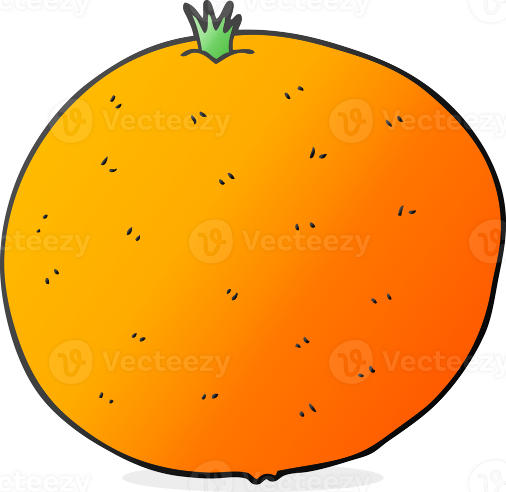 hand drawn cartoon orange png