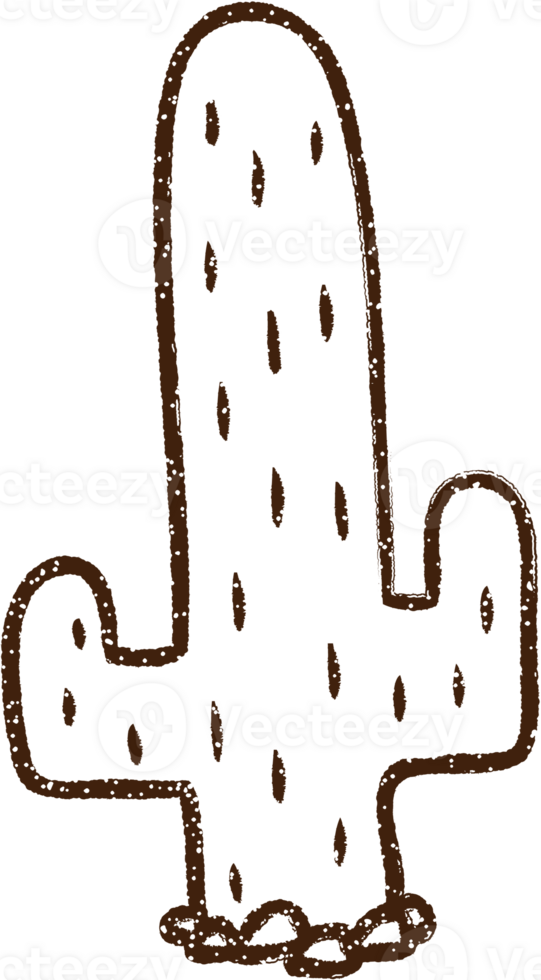 Cactus Charcoal Drawing png