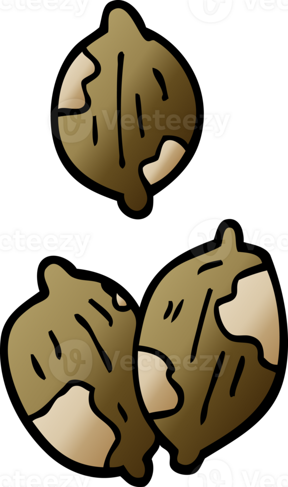 cartoon doodle nuts in shells png