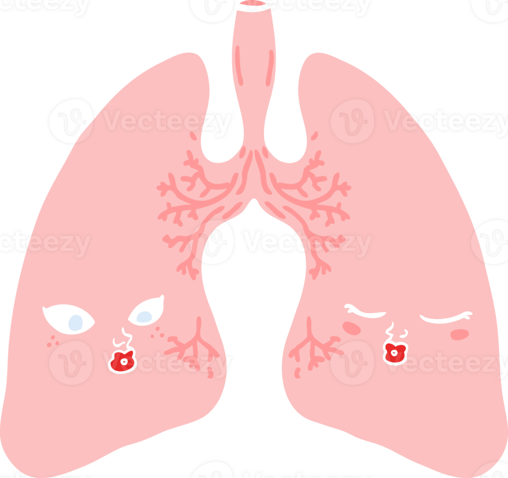 flat color style cartoon lungs png