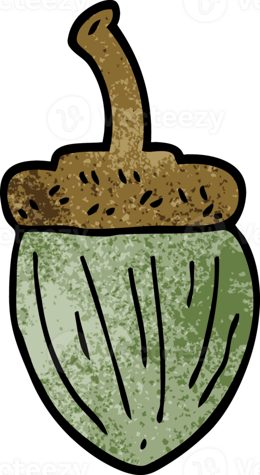 cartoon doodle acorn png