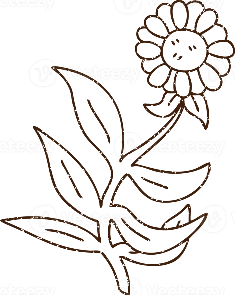 Flower Charcoal Drawing png