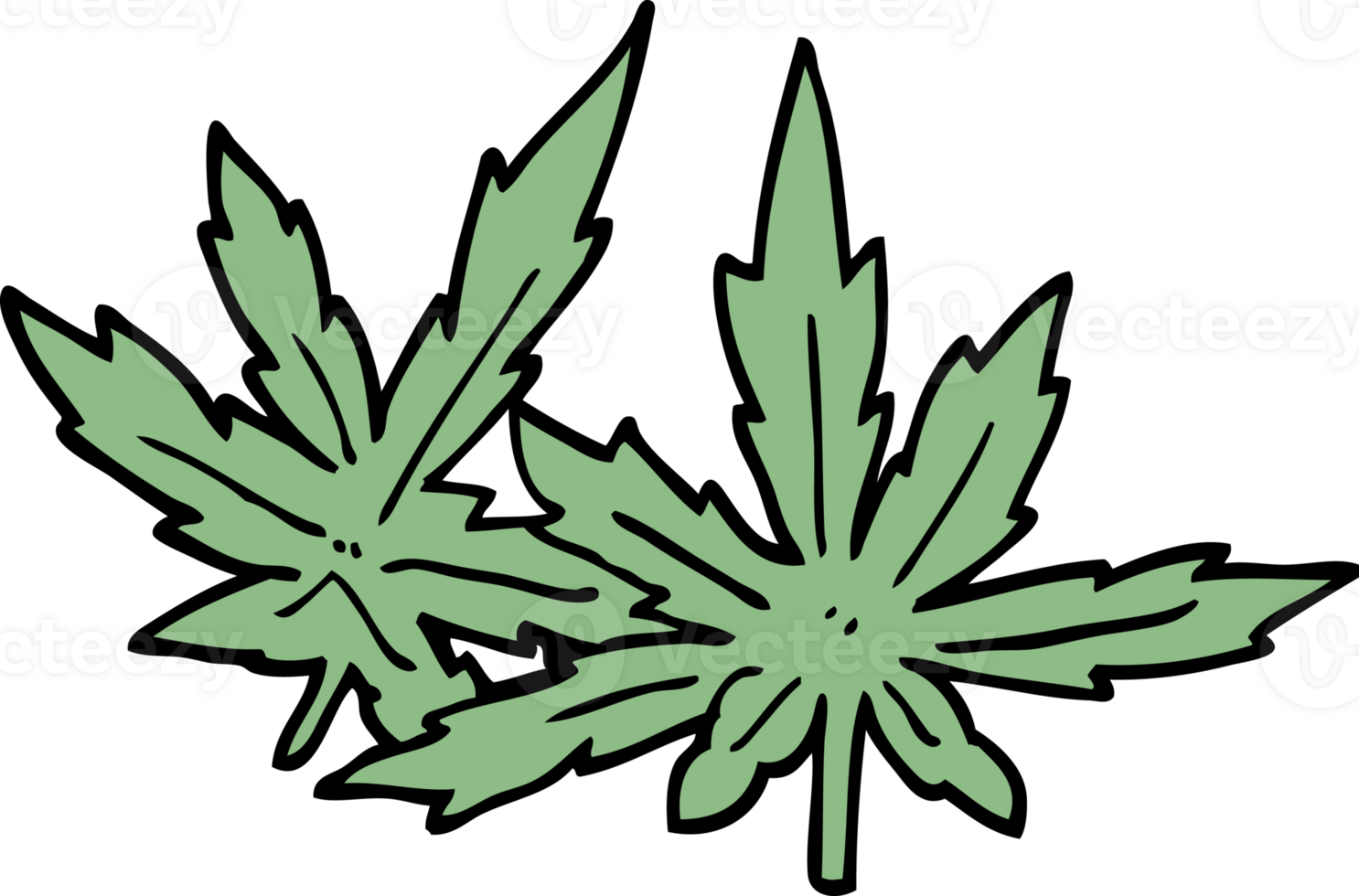 cartoon doodle marijuana leaves png