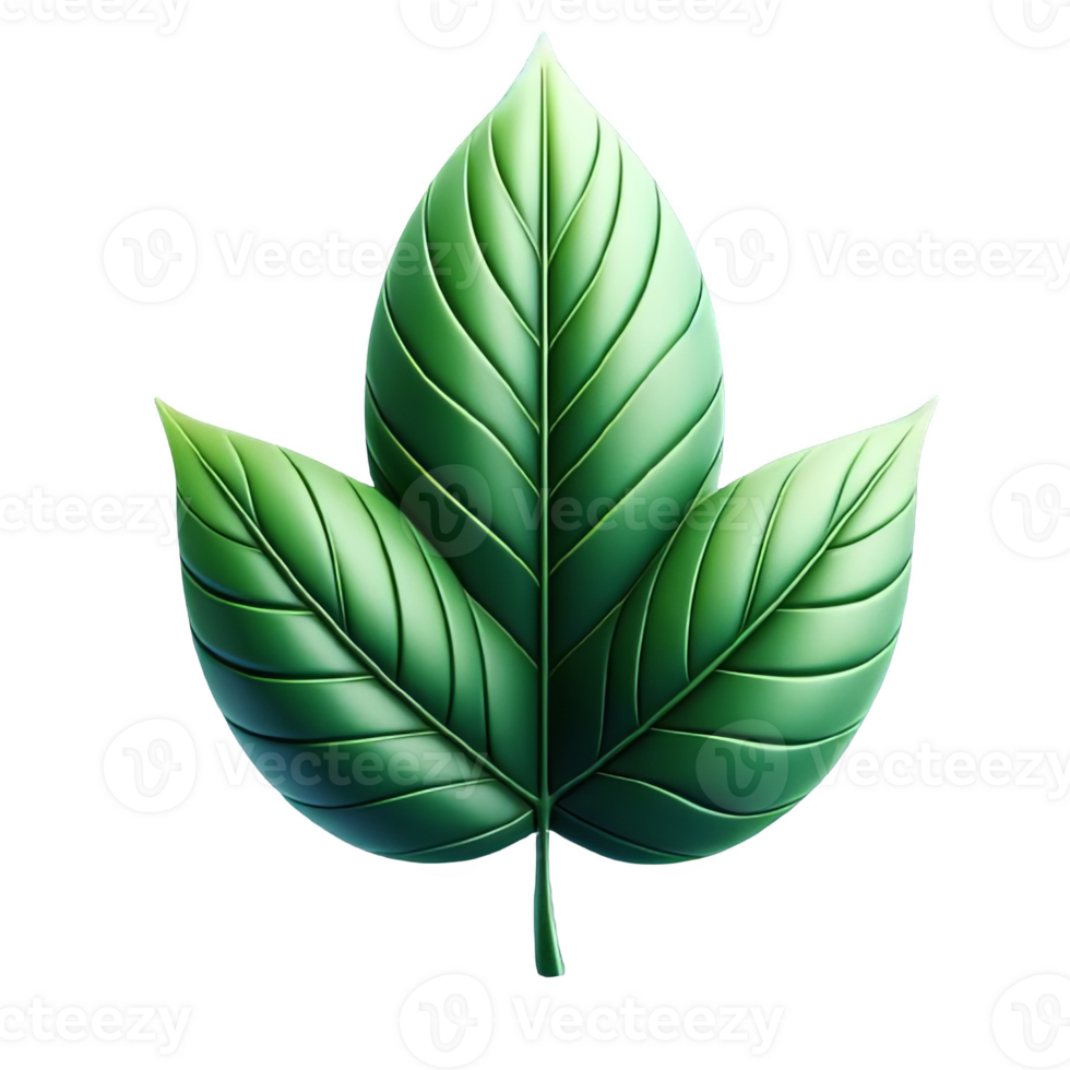 3d green leaf isolated on transparent background png
