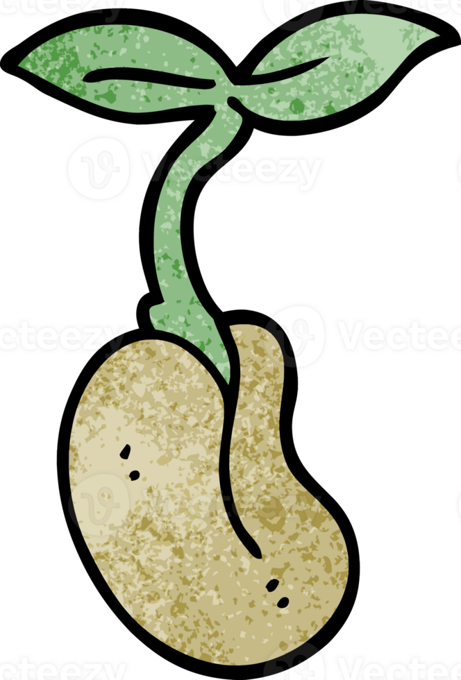 cartoon doodle seedling png