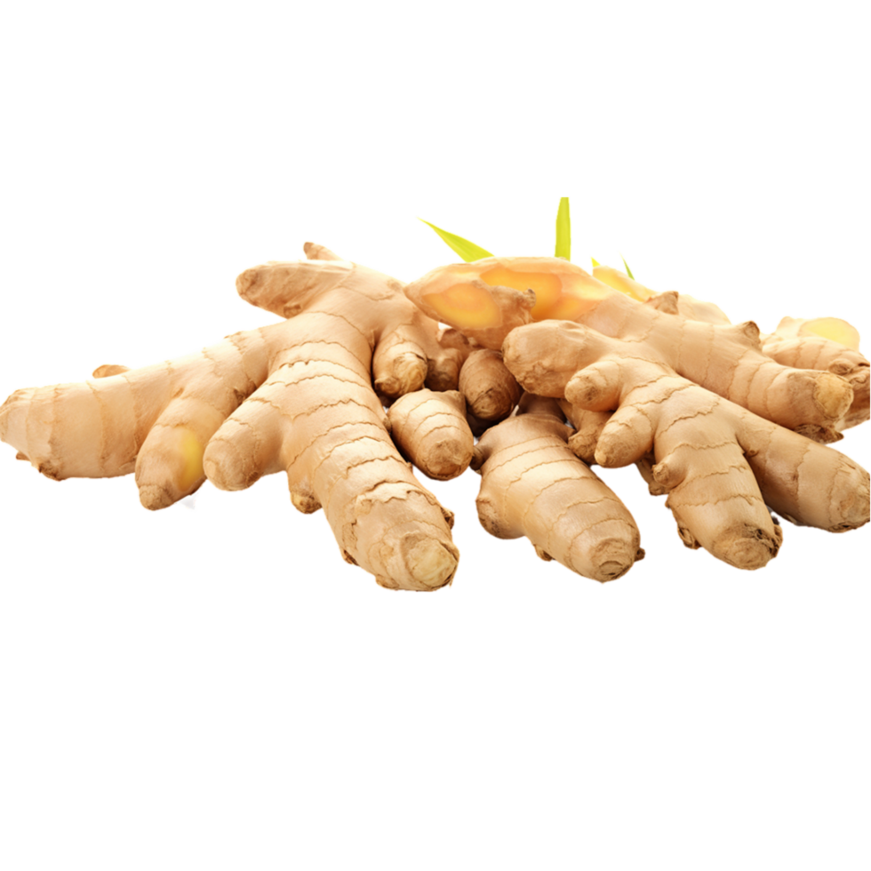AI-Generated ginger root png