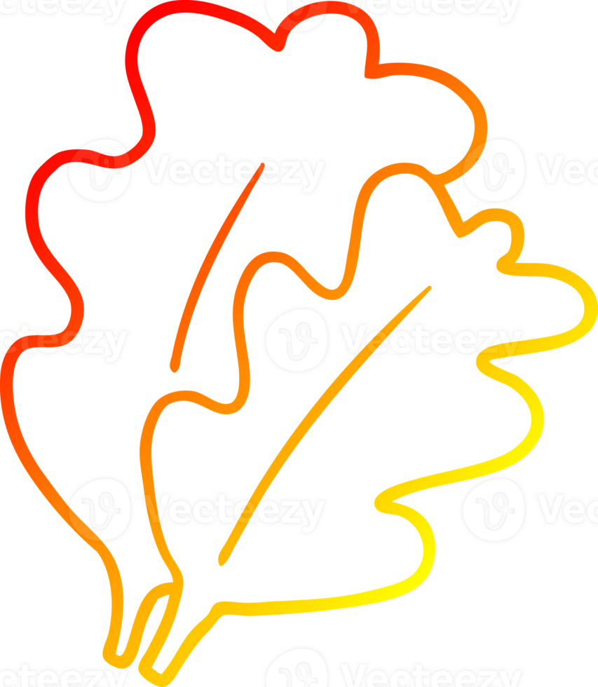 warm gradient line drawing of a fall leaves cartoon png