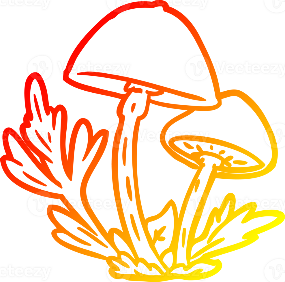 warm gradient line drawing of a wild mushrooms png