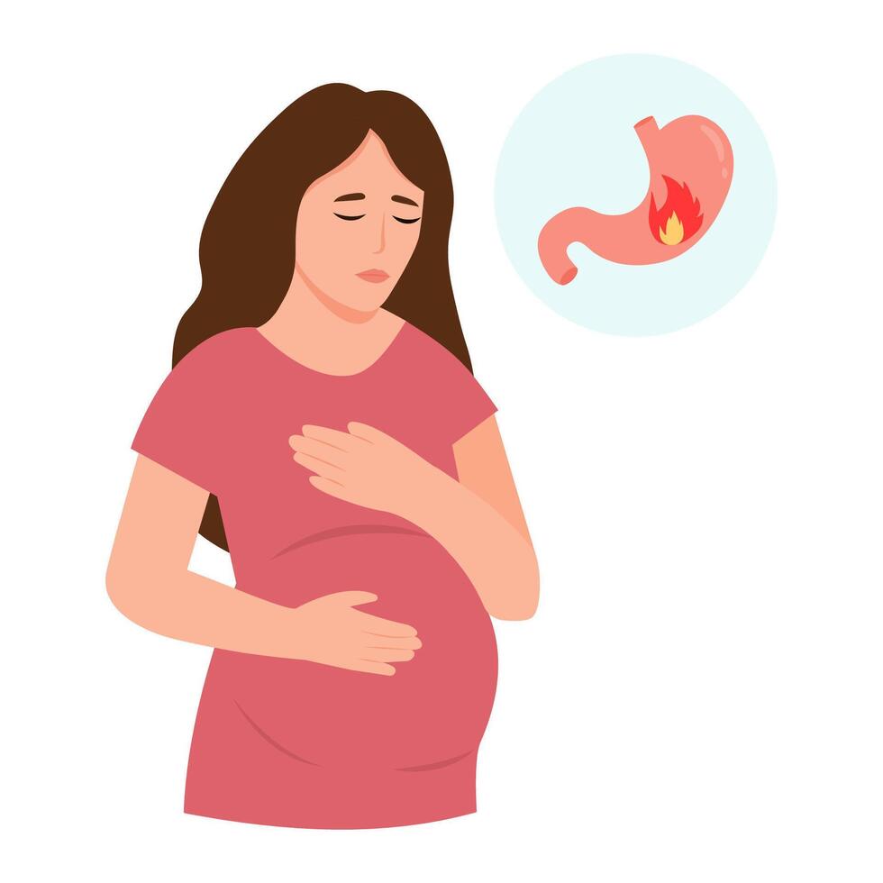 acidez durante el embarazo. un embarazada mujer sostiene su estómago con manos.gastritis y ácido reflujo, estómago trastornado y estómago dolor problemas. vector