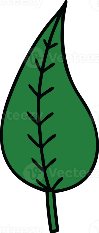 cute cartoon of a green leaf png