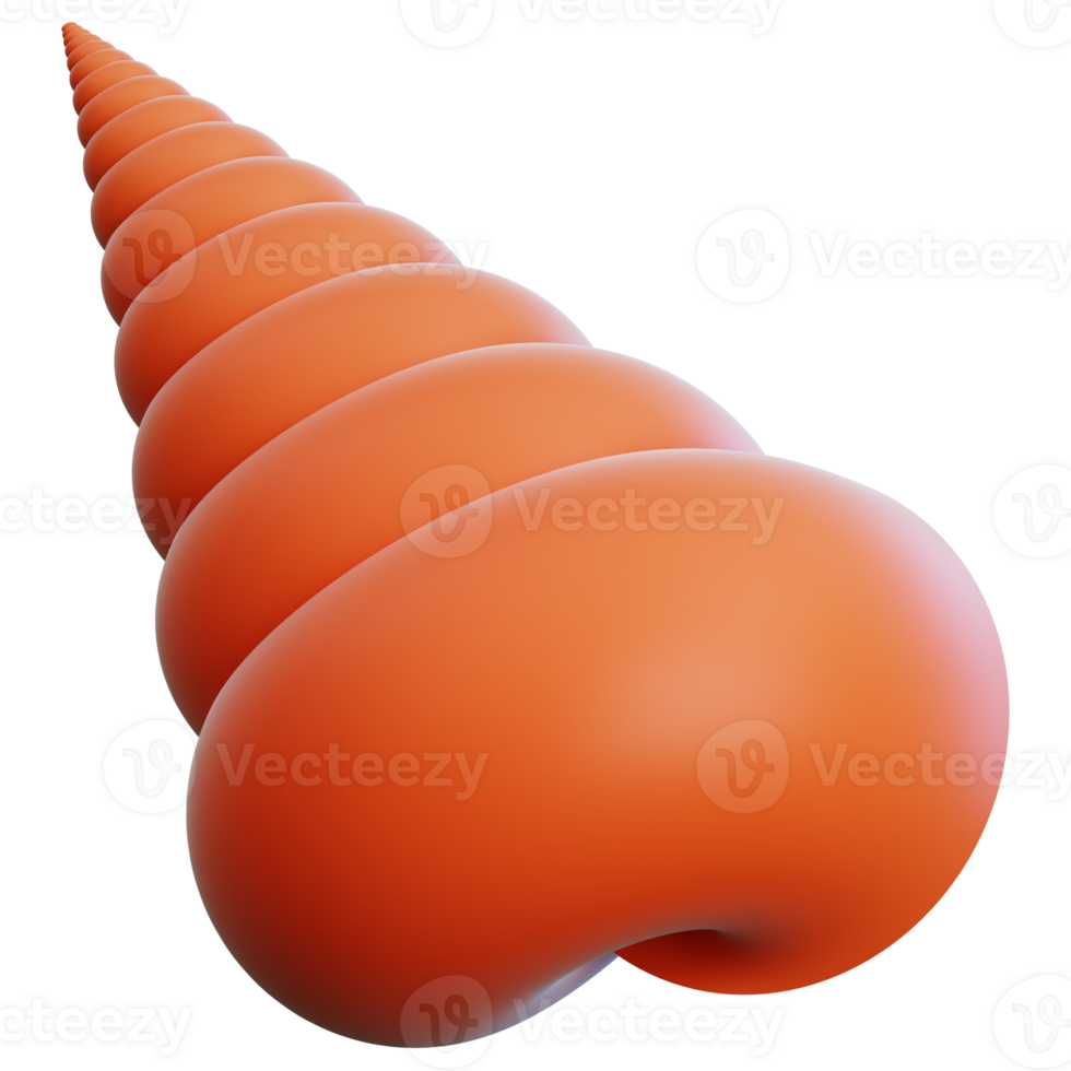 Seashell 3d illustration for web, app, infographic, etc png
