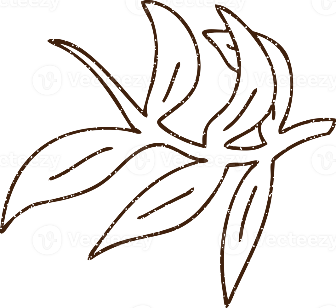 Leaves Charcoal Drawing png