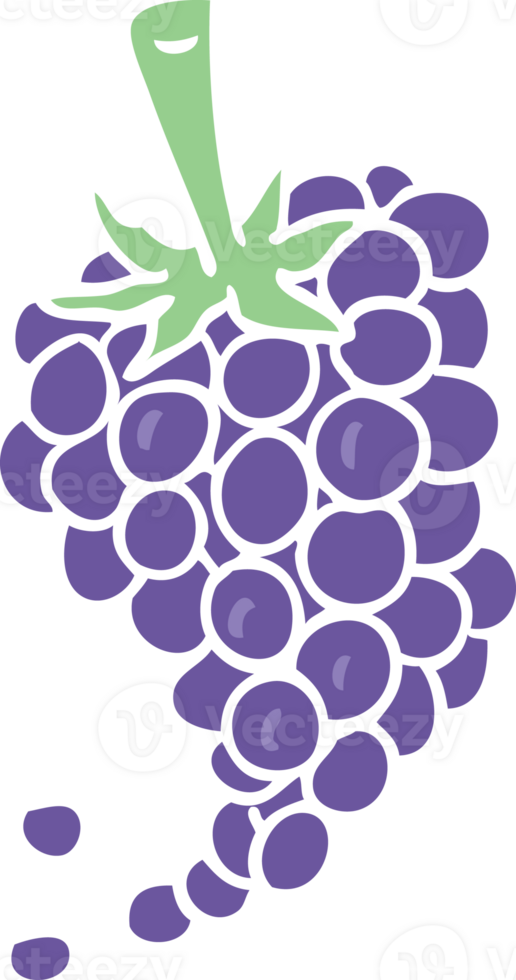flat color style cartoon grapes png