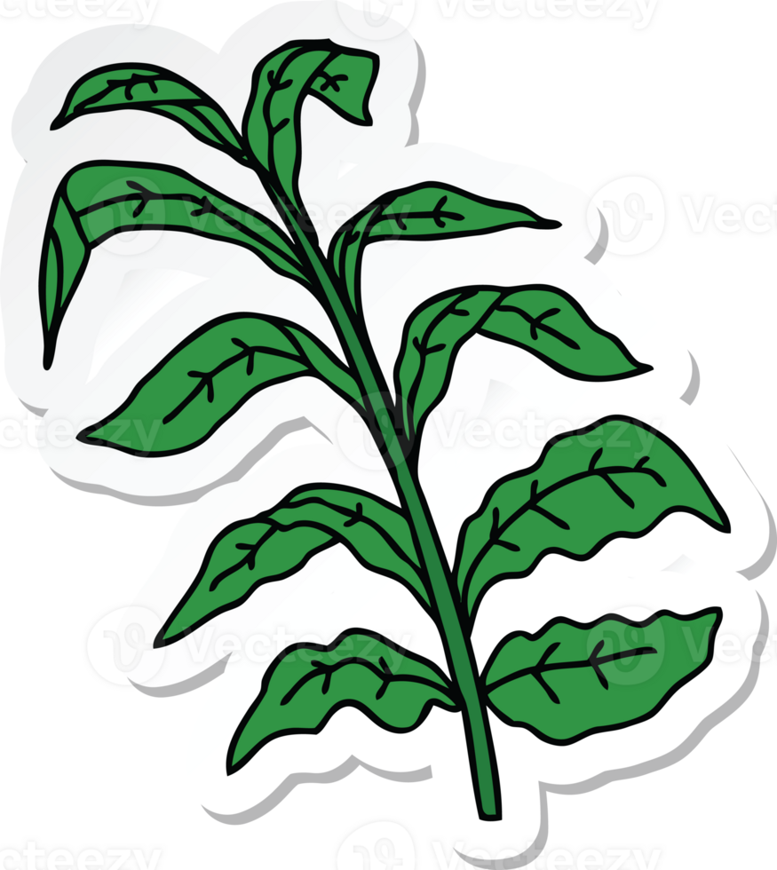 sticker of a quirky hand drawn cartoon vine leaves png