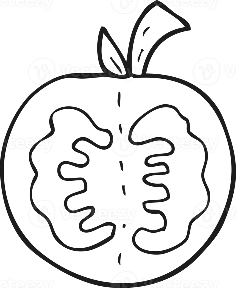 hand drawn black and white cartoon tomato png