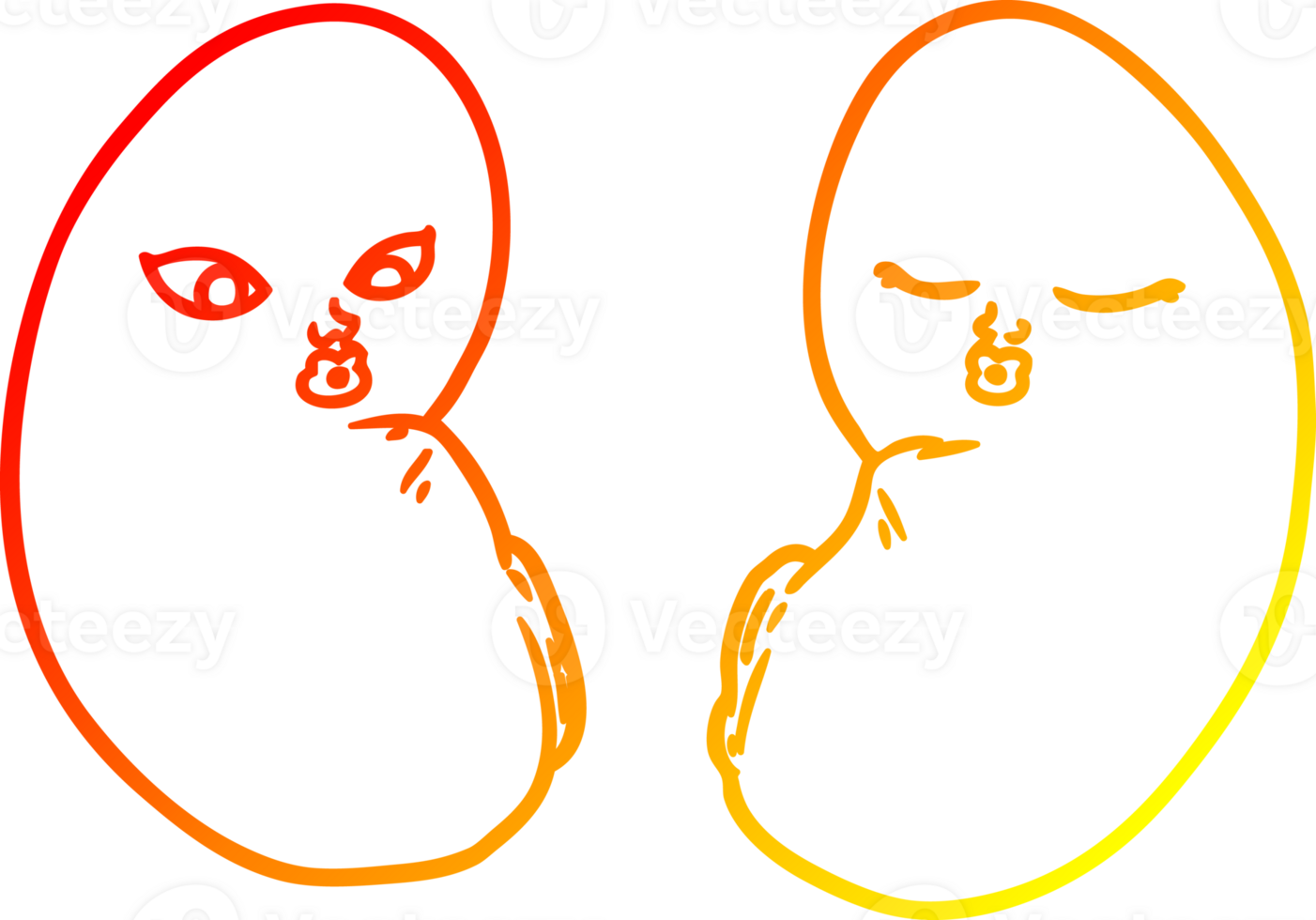 warm gradient line drawing of a cartoon kidneys png