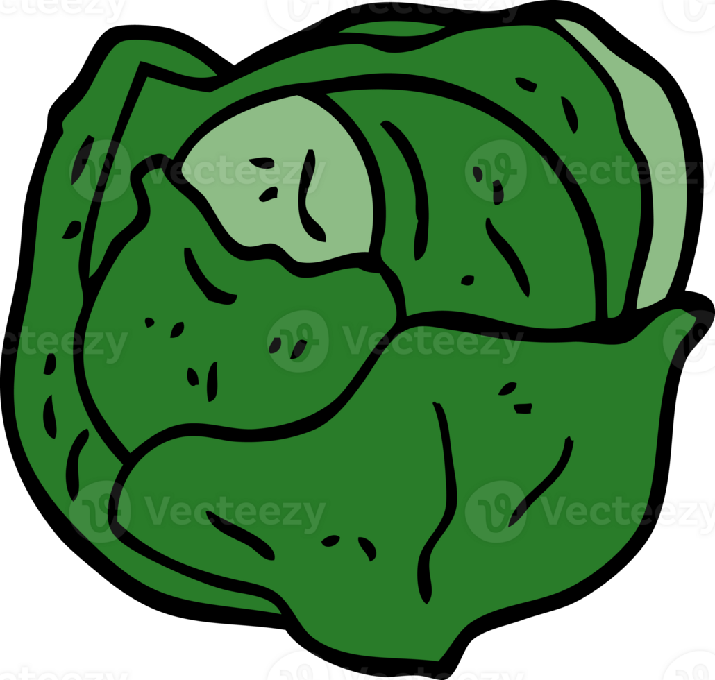 cartoon doodle cabbage png