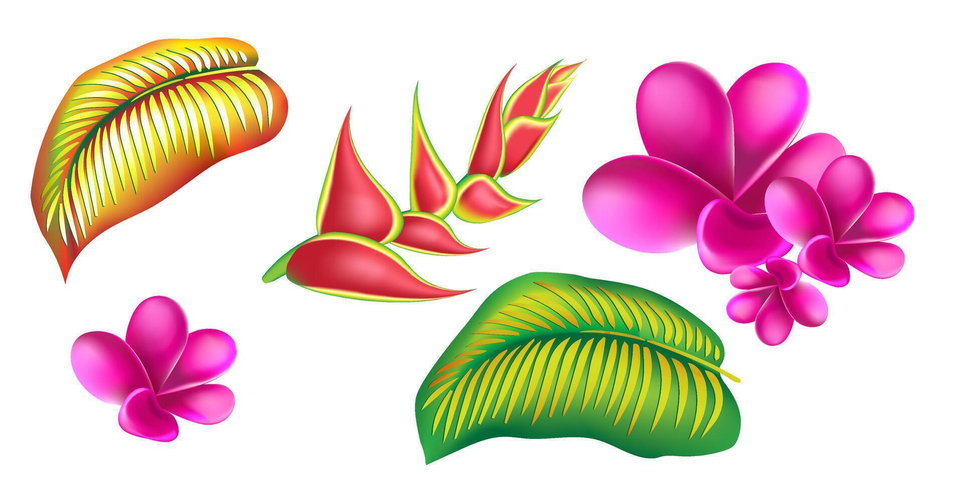 selva flor, hojas trópico colocar. aislado elementos. palma hoja, monstruo, rosado plumeria flor, hibisco florecer, exótico tropical verano flores y hojas. vector