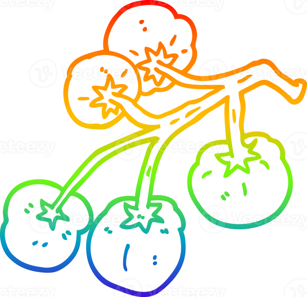 rainbow gradient line drawing of a cartoon tomatoes on vine png