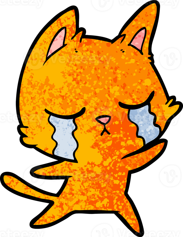 crying cartoon cat png