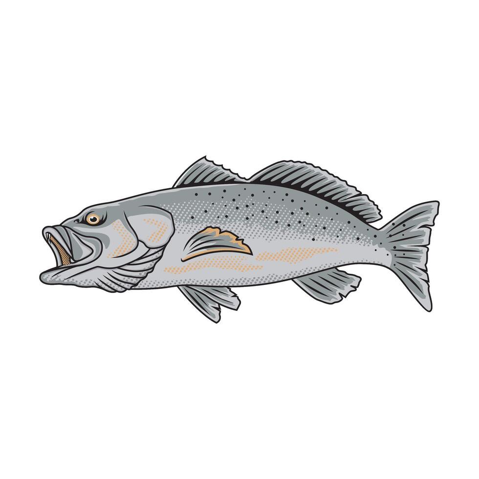 speckled trout fishing illustration logo image t shirt vector