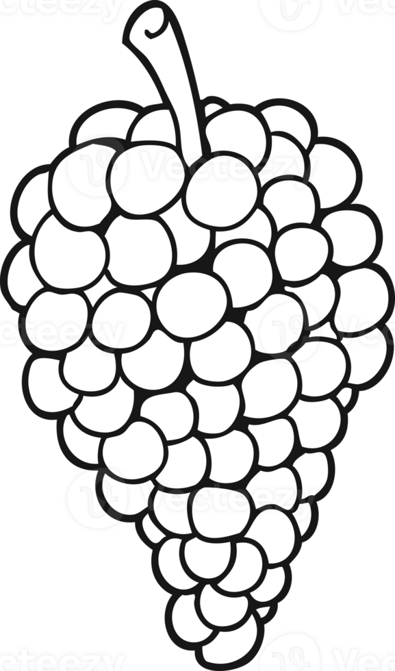 hand drawn black and white cartoon grapes png