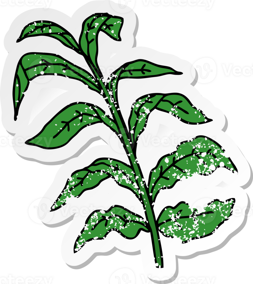 distressed sticker of a quirky hand drawn cartoon vine leaves png