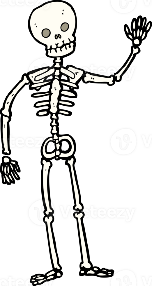 cartoon waving skeleton png