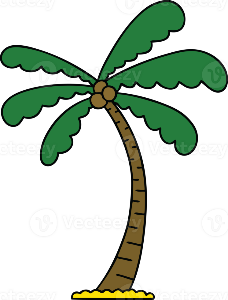 hand drawn quirky cartoon palm tree png
