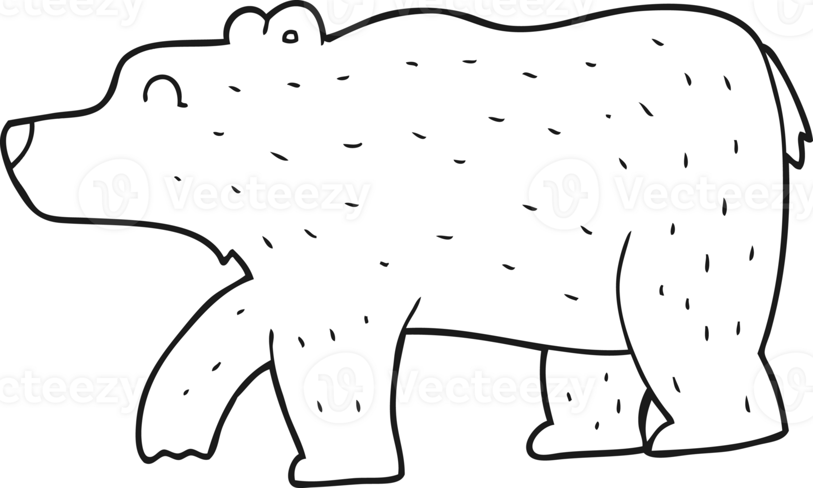 hand drawn black and white cartoon bear png
