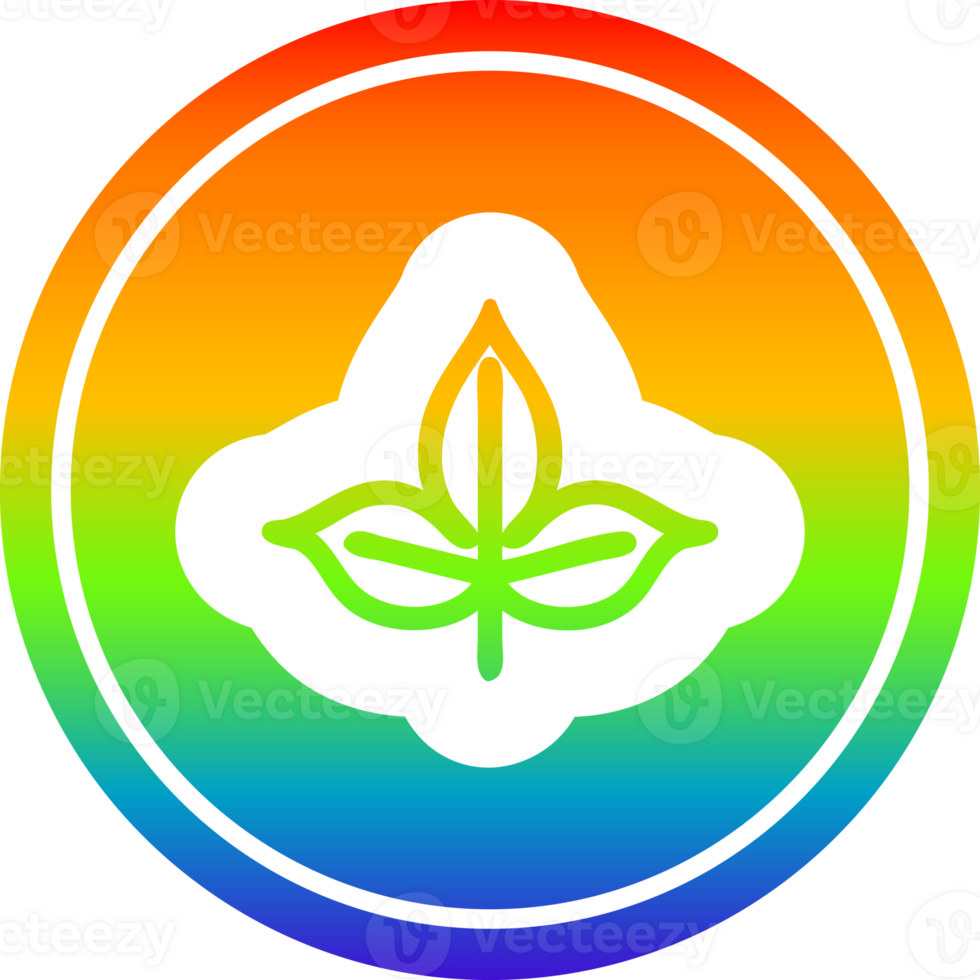 natural leaf circular icon with rainbow gradient finish png