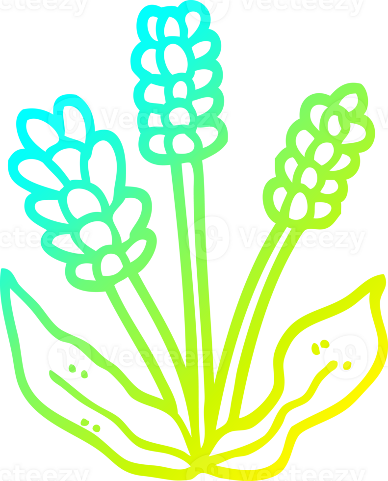 cold gradient line drawing of a cartoon lavender png