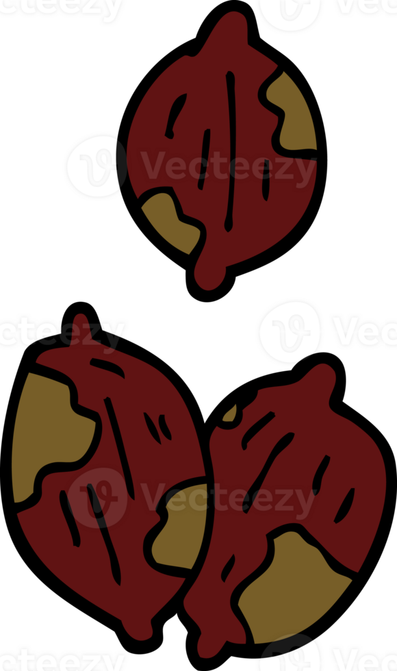 cartoon doodle nuts in shells png