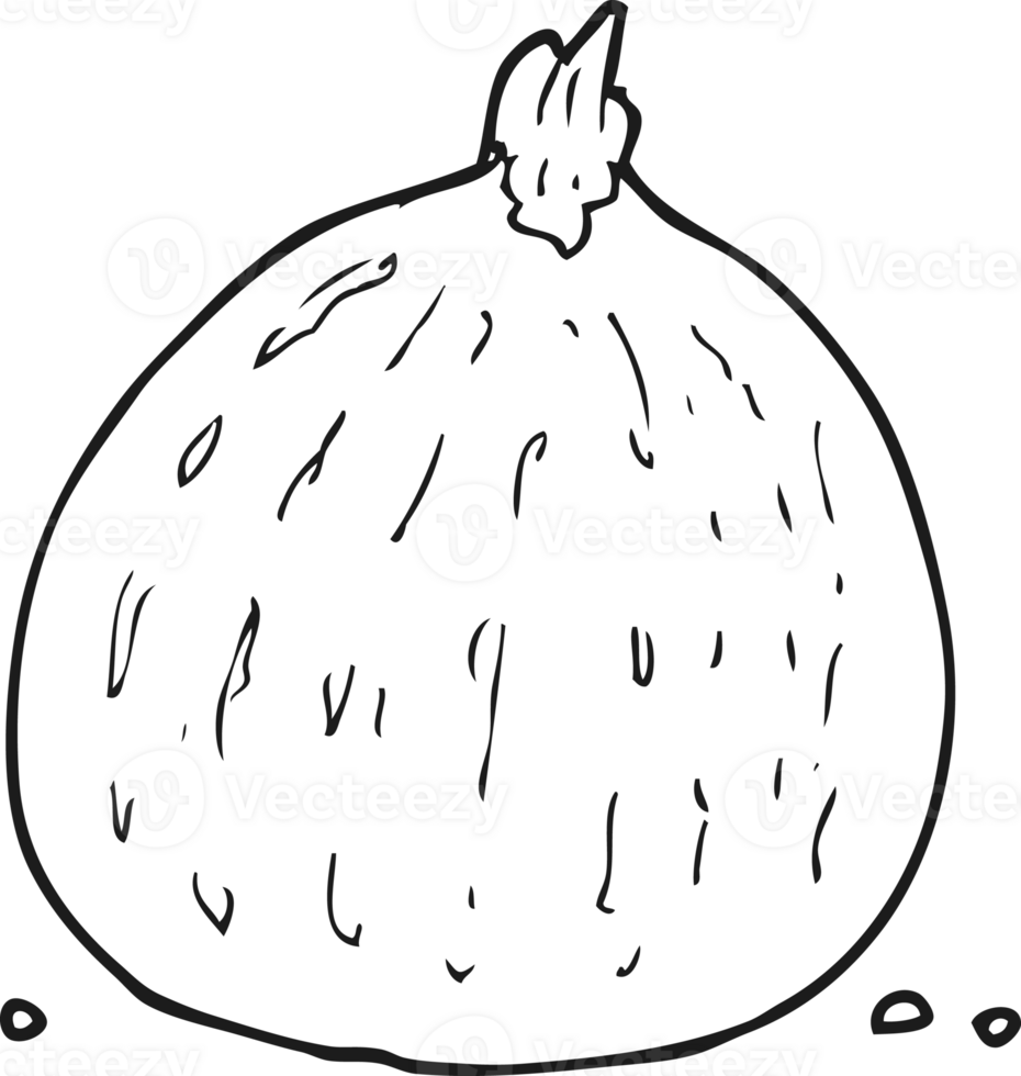 hand drawn black and white cartoon squash png