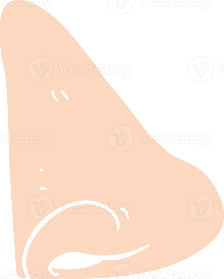 flat color illustration of human nose png