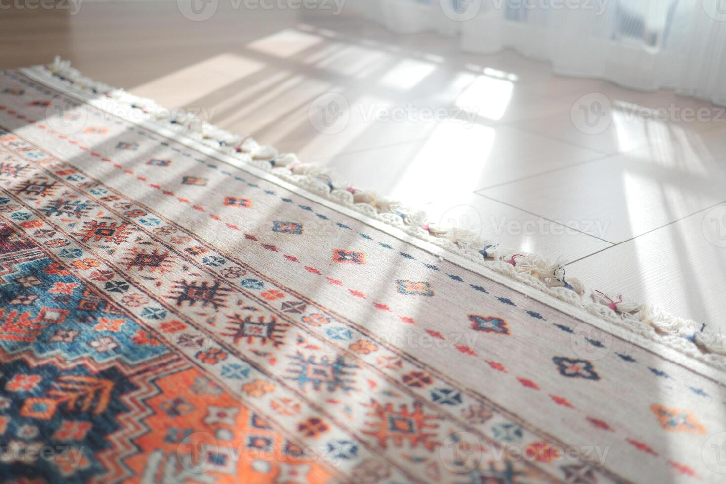 A patterned rug rests on the flooring beside a mirror photo