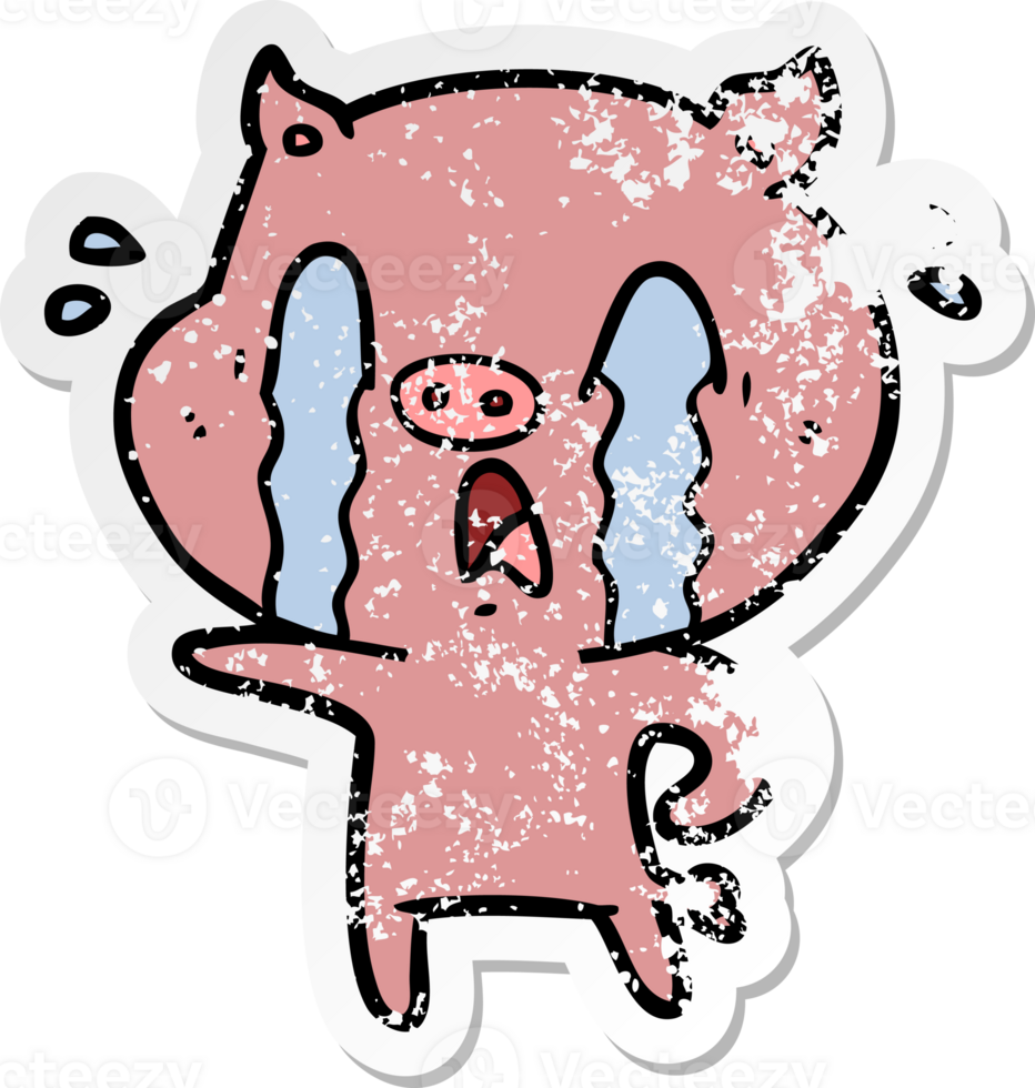 distressed sticker of a crying pig cartoon png